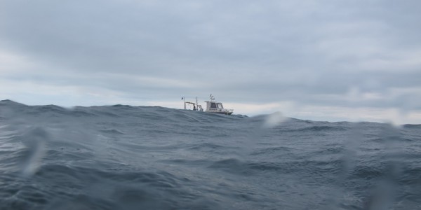 Plongée avec l’Helcyon II (@SMEL)