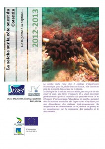 couverture de Seiche 2012-2013