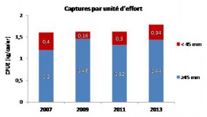 graphique CPUE bulot