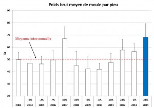 graphique production moule