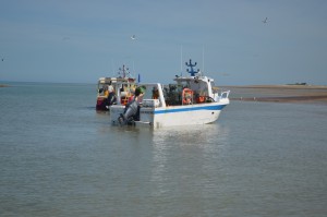 bateau de pêche arrivée côte