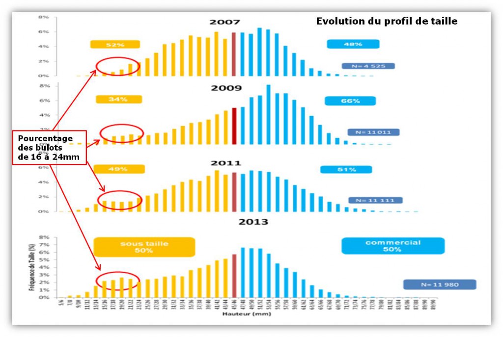 Evolution profil de taille