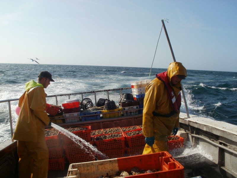 retour de pêche aux bulots (@SMEL)