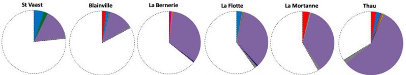 Proportion de bactéries du genre Vibrio par site.