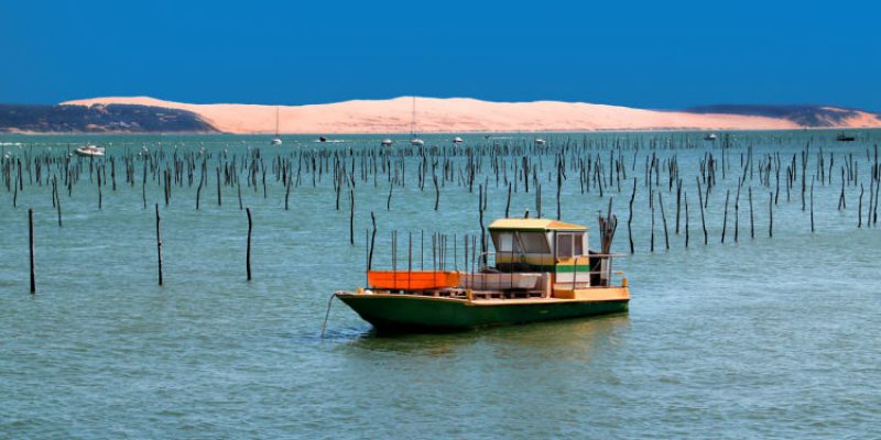 La dune du Pyla vue du Cap Ferret (©Fotolia)