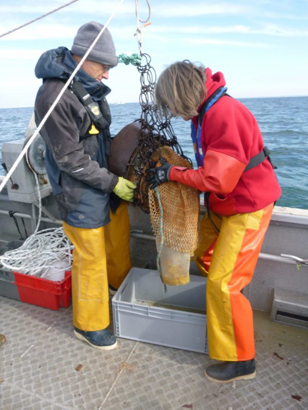 Agents du SMEL pendant la pêche expérimentale de bulots.