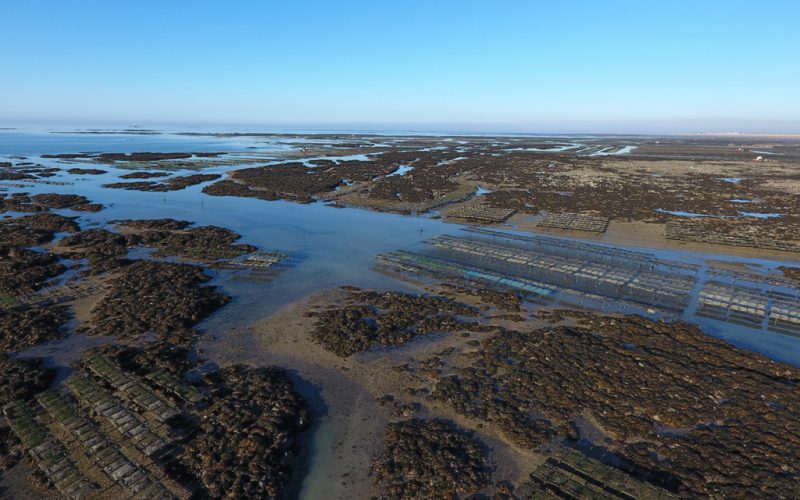 Parcs ostréicoles de Blainville sur Mer (@SMEL)