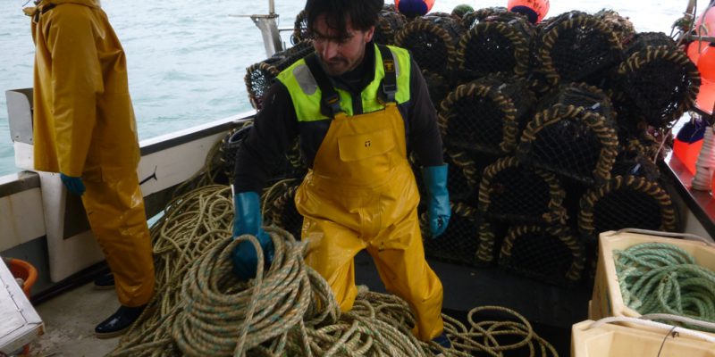 La pêche scientifique à bord du Téthys, patronné par Sébastien Cauchon (@SMEL)