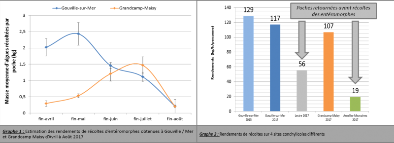 GRAPHES