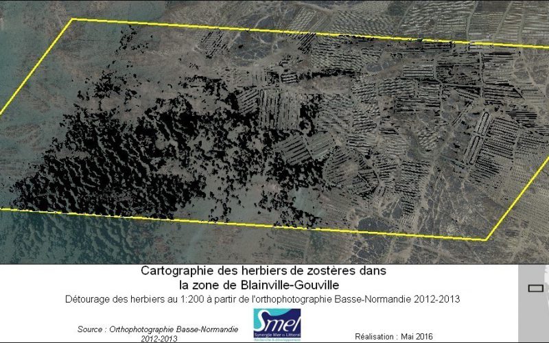 Détourage des herbiers de zostères d’après l’orthophotographie Basse-Normandie 2012-2013 (@SMEL)