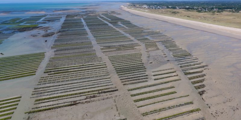 Les parcs de réserve de Gouville sur Mer (@SMEL)