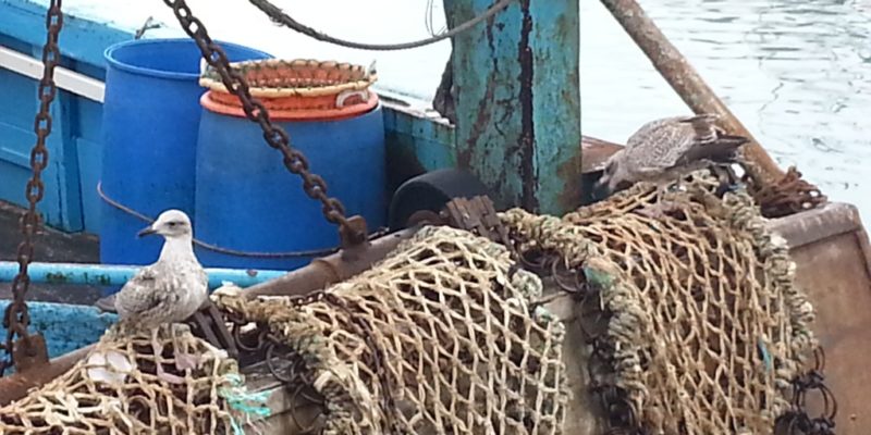 Bateau de pêche (@SMEL)