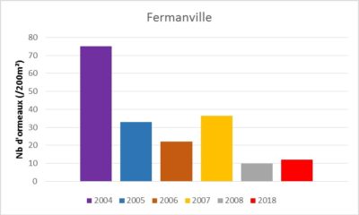 Nombre d’ormeaux sur 200m² observé sur le site de Fermanville (Manche)