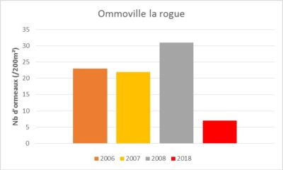 Nombre d’ormeaux sur 200m² observé sur le site d’Omonville-la-Rogue (Manche)