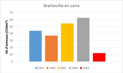 Nombre d’ormeaux sur 200m² observé sur le site de Bretteville-en-Saire (Manche)