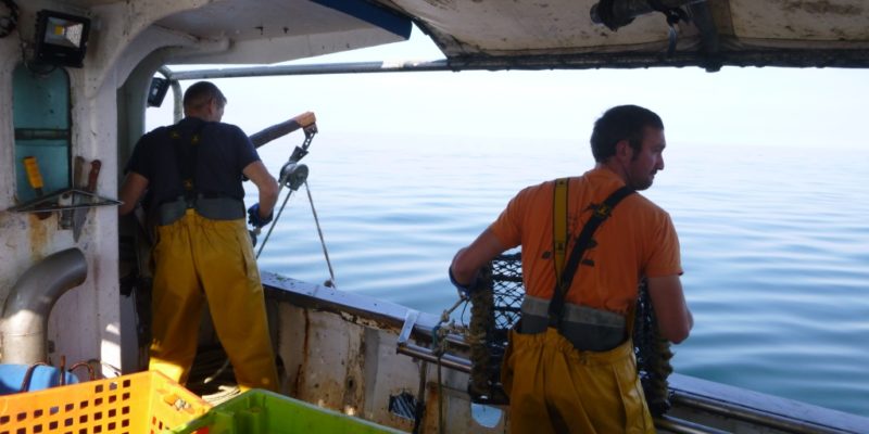 Pêche dans la baie de Granville (@SMEL)