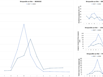 Figure 2 : Focus sur Bricqueville sur Mer