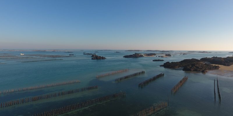 Parcs mytilicoles à Chausey (@SMEL)