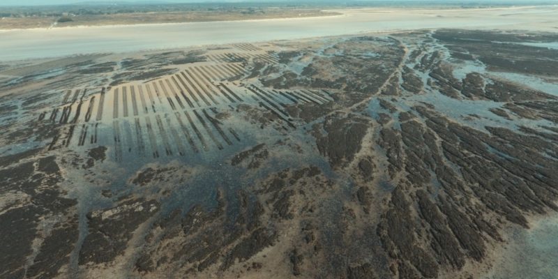 Site de Saint-Rémi-des-Landes (50, Manche)