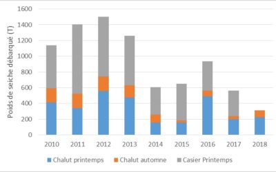 Estimation des débarques totales des seiches de l’Ouest Cotentin entre 2010 et 2017 (Données CRPN & DML50) [Données Casiers 2018 non disponibles]