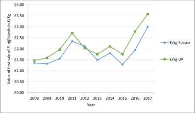 Prix de la seiche débarquée pour l’ensemble du Royaume-Uni et dans le Sussex entre 2008 et 2017 (IFCA Sussex, 2018)