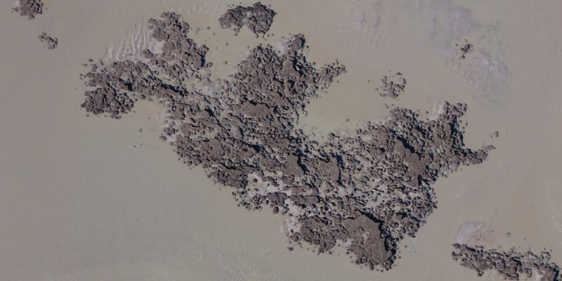 Vue aérienne par drone des bioconstructions d’hermelles (traitement par Pix4D, Champeaux, 2019) (@SMEL)