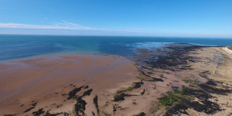 Vue par drone de l’estran des falaises de Bennière-sur-mer (Calvados, France) (@SMEL)