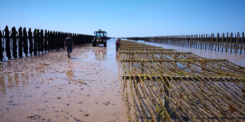 Chantiers à moules (@SMEL)