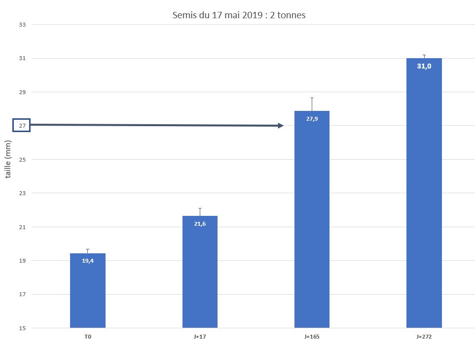 Croissance des coques en 2019