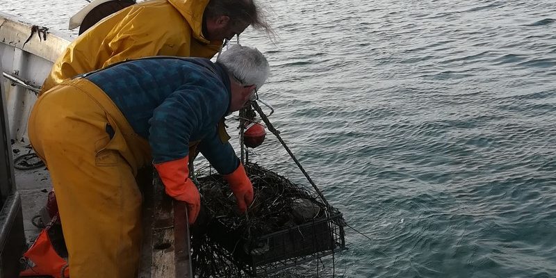 Remontée du casier par les pêcheurs (@SMEL)