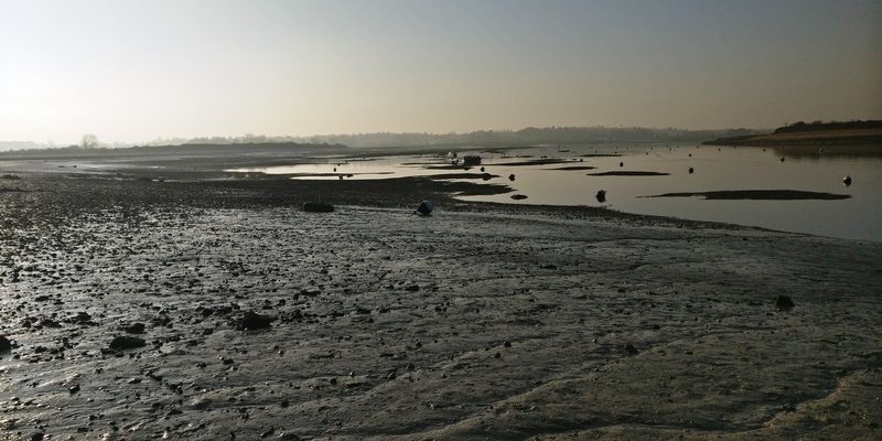 Estuaire de l’orne (Calvados) où la présence des néréis est importante (@SMEL)