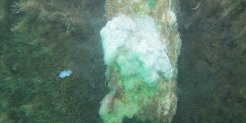 Dégradation d’une anode galvanique en zone portuaire.