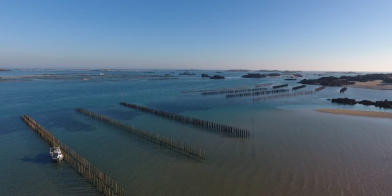 Archipel des îles Chausey : Roquette avec en arrière plan le Lézard (@SMEL)