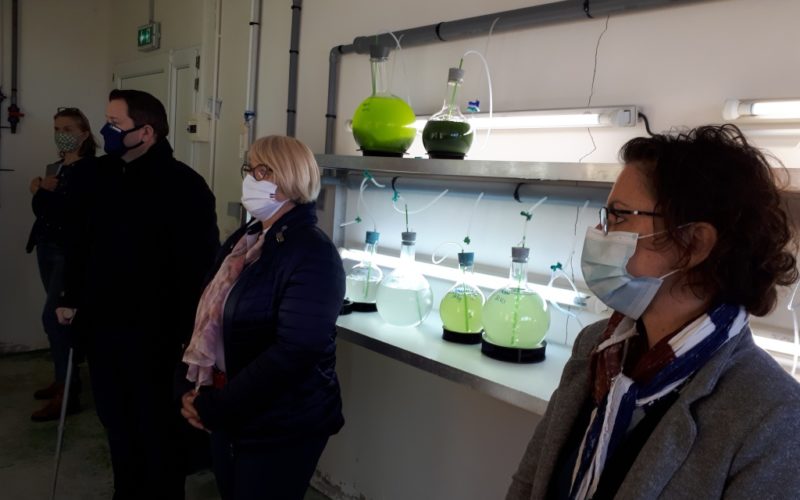 Explications des projets du SMEL aux élus de la CAC dans la salle de phytoplancton (@SMEL)