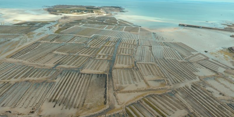 Parcs ostréicoles de Saint-Vaast-La-Hougue et l’ile de Tatihou (@SMEL)