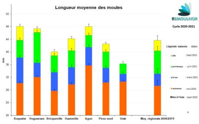 Longueur moyenne des moules