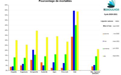 Pourcentage de mortalités