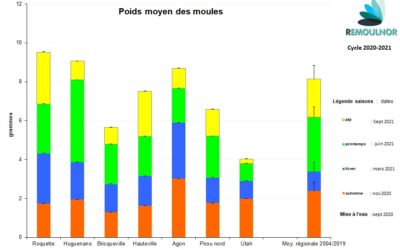 Poids moyen des moules