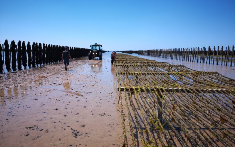 Chantiers à moules (@SMEL)